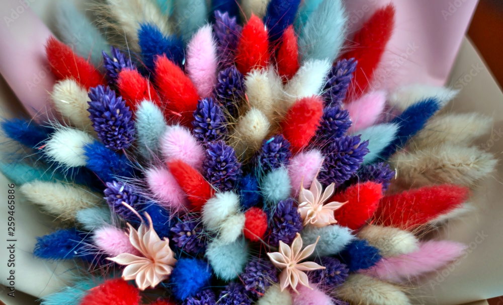 Dry bouquet of colorful fluffy flowers