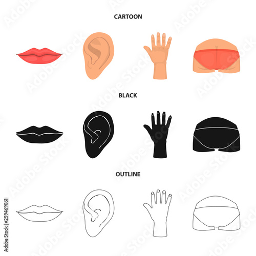 Vector illustration of body and part logo. Set of body and anatomy vector icon for stock.