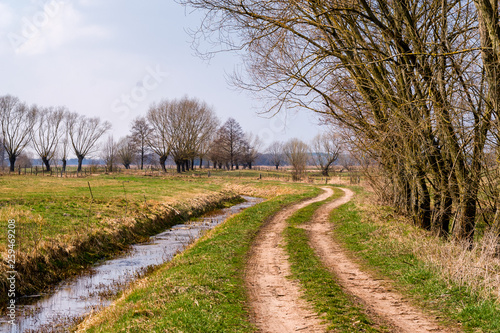 Krajobraz wiejski. Wiosna na Podlasiu. Dolina Narwi