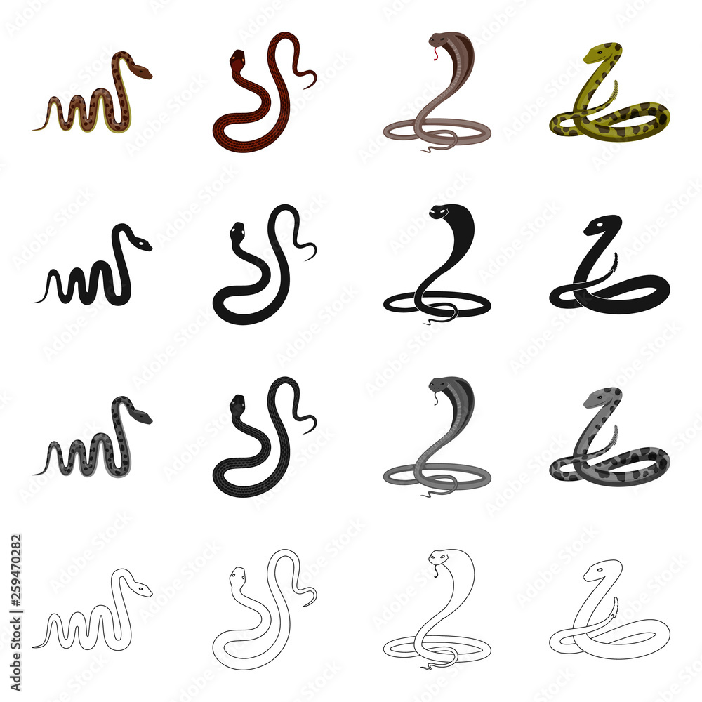 Vector design of mammal and danger sign. Set of mammal and medicine vector icon for stock. Vector design of mammal and danger sign. Set of mammal and medicine vector icon for stock.