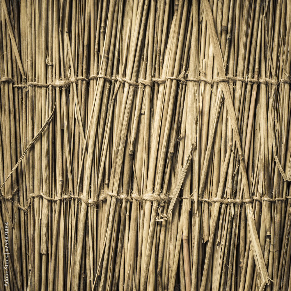 Highly detailed bamboo background. Perfect natural texture. Highly detailed bamboo background. Perfect natural texture.