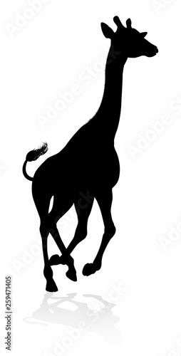 A high quality giraffe animal silhouette