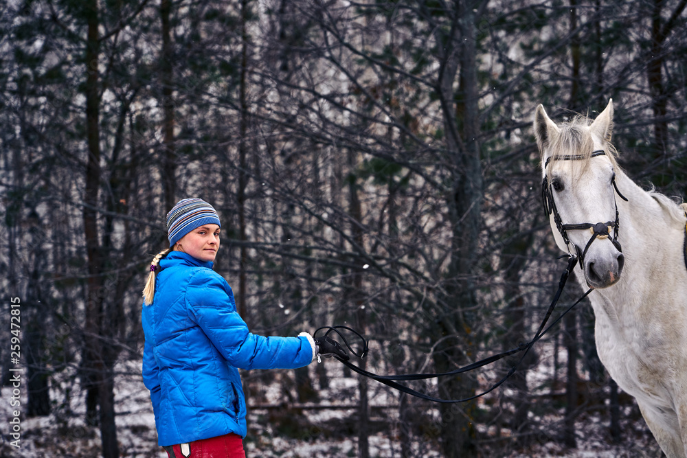 Young pretty woman in blue jacket and sports hat on a walk with a white horse on a winter cloudy day. A woman leads a horse on a leash. Young pretty woman in blue jacket and sports hat on a walk with a white horse on a winter cloudy day. A woman leads a horse on a leash.