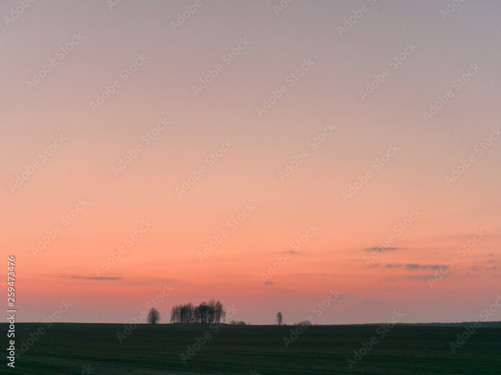 beautiful gradient sky over a field at sunset