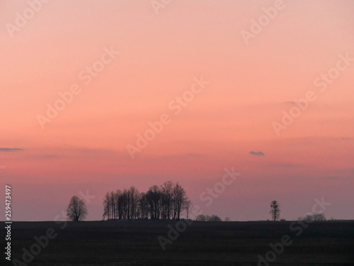 beautiful gradient sky over a field at sunset