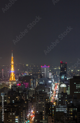 Wallpaper Mural 札幌市 夜景 都市夜景 Torontodigital.ca