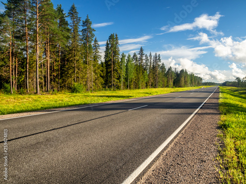 Empty asphalt road going straight along coniferous forest with trees casting long shadows in the evening. Green summer grass grows alongside. White fluffy clouds are viewable in the distance. © dmitriygut