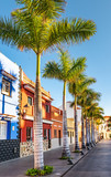 Colourful houses, palm on street Puerto de la Cruz town Tenerife Canary Islands