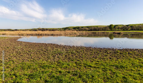 Pond in spring steppe as background