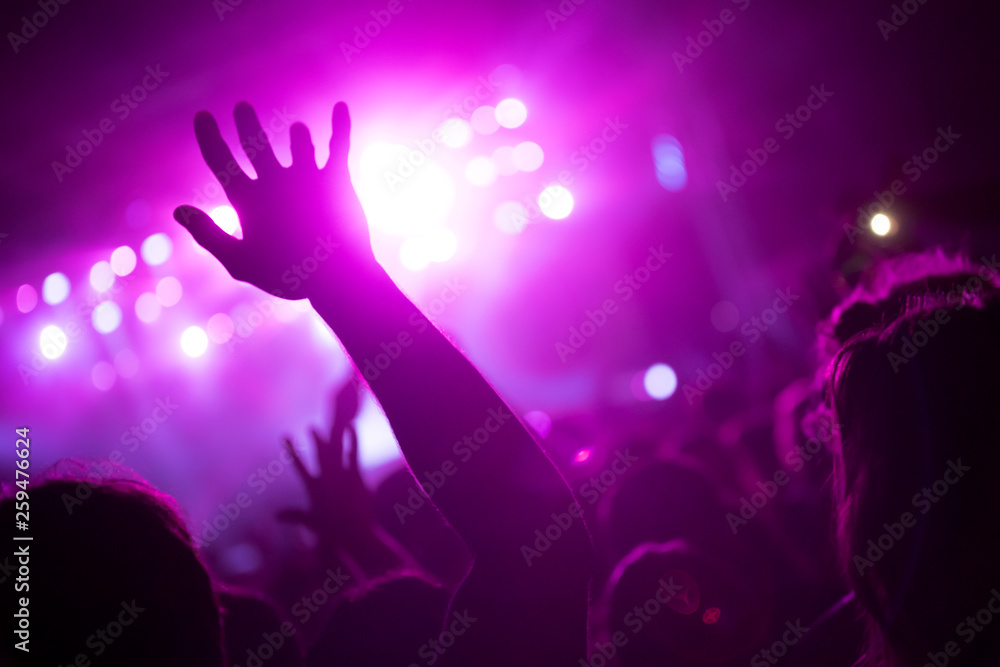 Cheering crowd at concert enjoying music performance