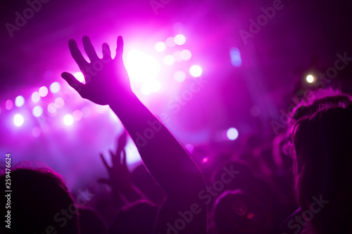 Cheering crowd at concert enjoying music performance © NDABCREATIVITY