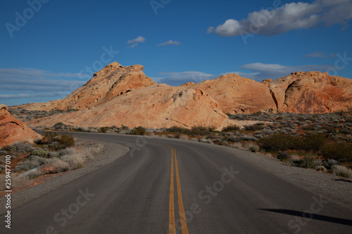 Desert Road