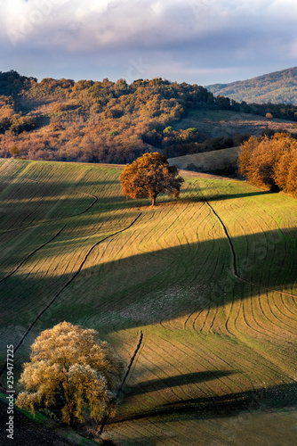 My countryside part II