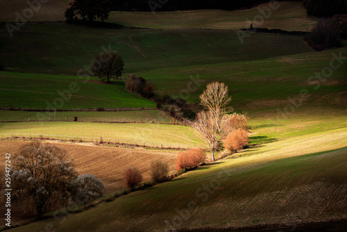 My countryside part I