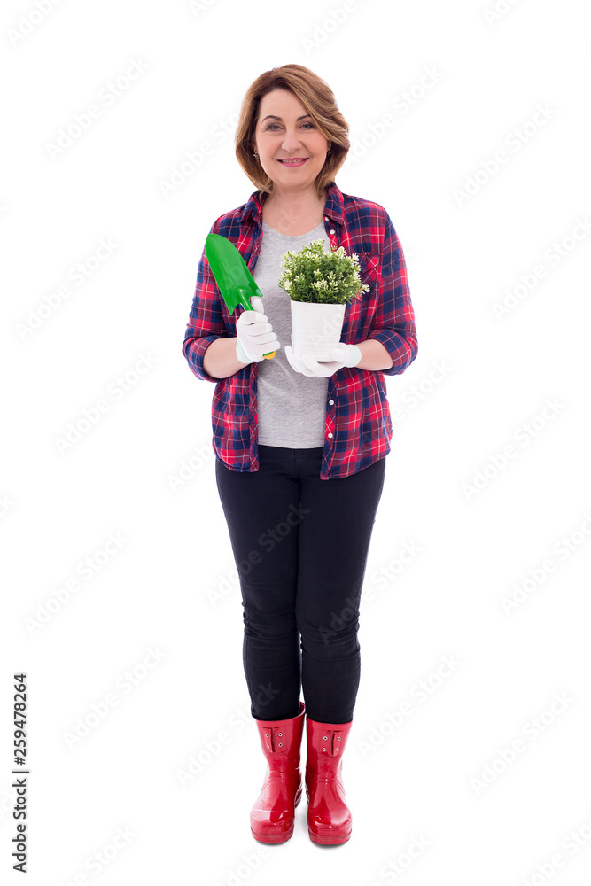 full length portrait of mature woman with potted plant and shovel isolated on white background full length portrait of mature woman with potted plant and shovel isolated on white background