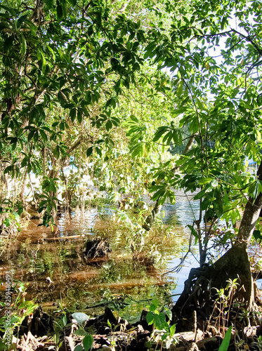 Malaysia Kota Kinabalu Klias River