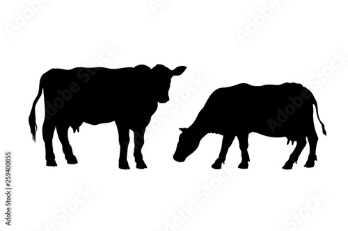Black silhouette of cow. Isolated image of farm cattle. Domestic animal icon. Isolated image. Butcher shop logo