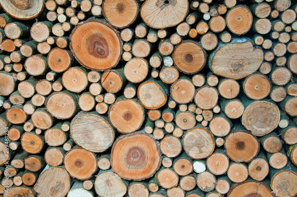 Background of folded pile of firewood Background of folded pile of firewood