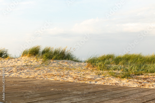 Fototapeta Naklejka Na Ścianę i Meble -  dunes at north sea germany sunset