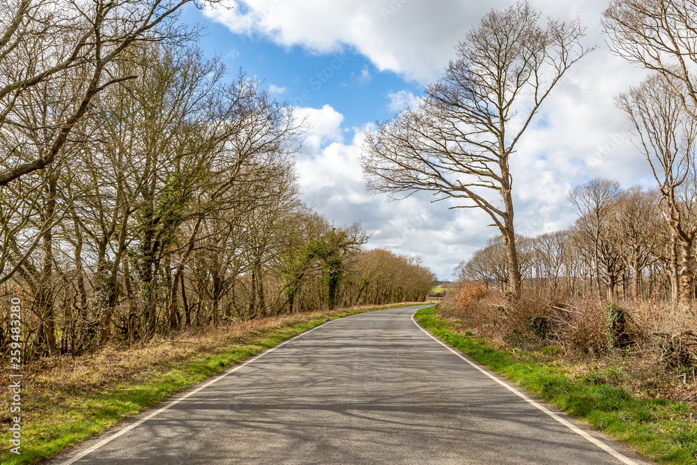 A road in Sussex surrounded by woodland, on a sunny late winters day A road in Sussex surrounded by woodland, on a sunny late winters day