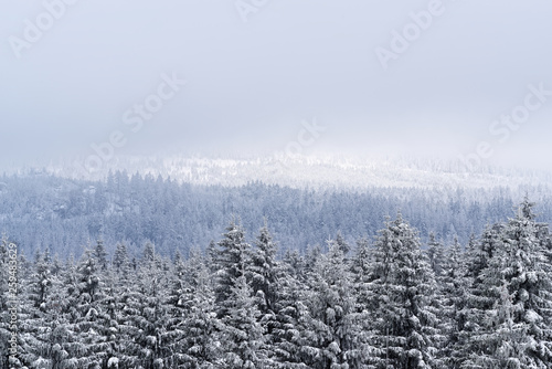 Winter landscape in Harz against cloudy sky