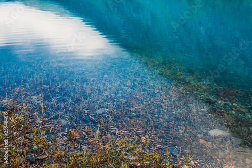 Plants and stones on bottom and edge of mountain lake with clean water close-up. Giant mountains reflected on smooth water surface. Background with underwater vegetation. Reflection of mountainside.