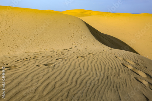 Gran Canaria island landscape of sand on beach 