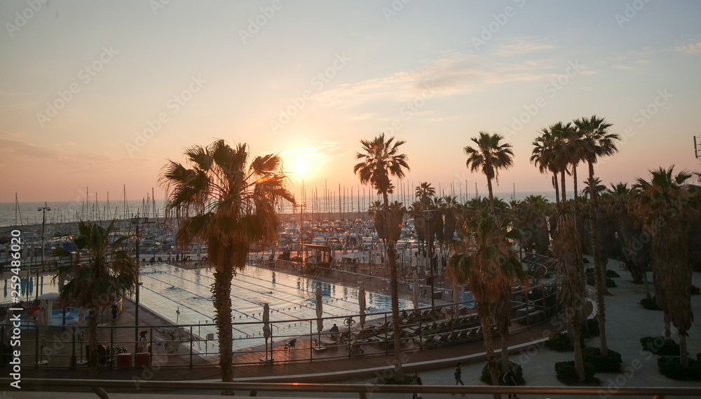 Obraz premium Sunset at Tel Aviv Port, Israel. Palm trees and ships at sunset.