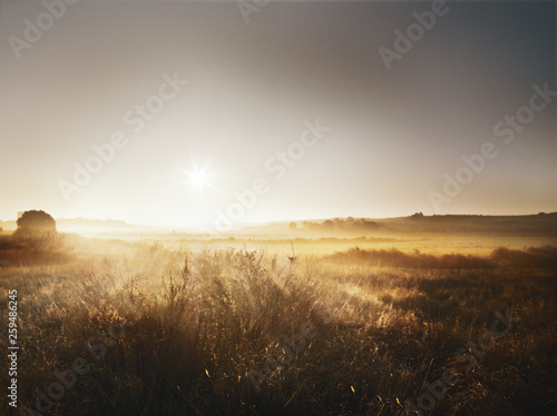  Sun shines on cornfield in Spain photo