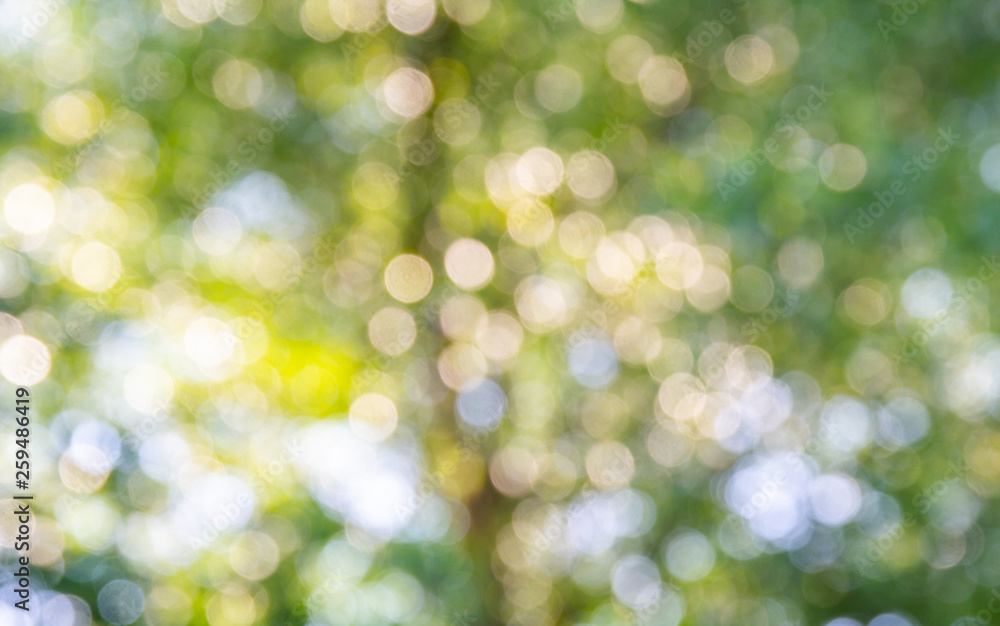 Natural green bokeh abstract background Natural green bokeh abstract background