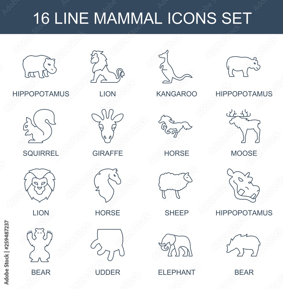 Obraz premium 16 mammal icons