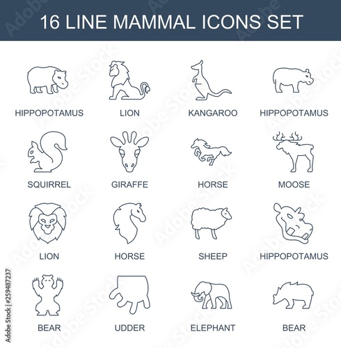 16 mammal icons