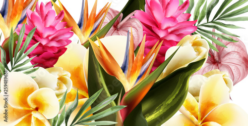 Tropic flowers Vector watercolor background. Exotic botanical cards