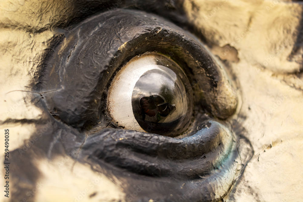 Dinosaur Eye Dinosaur Eye