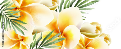 Plumeria yellow flowers Vector watercolor. Summer time paradise card. Wedding ceremony invitation. Exotic festival backgrounds
