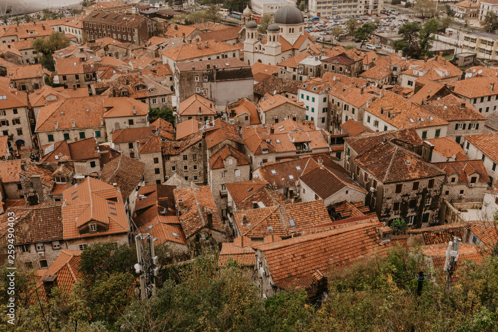 Montenegro. Old city Kotor. Red roofs - Image.