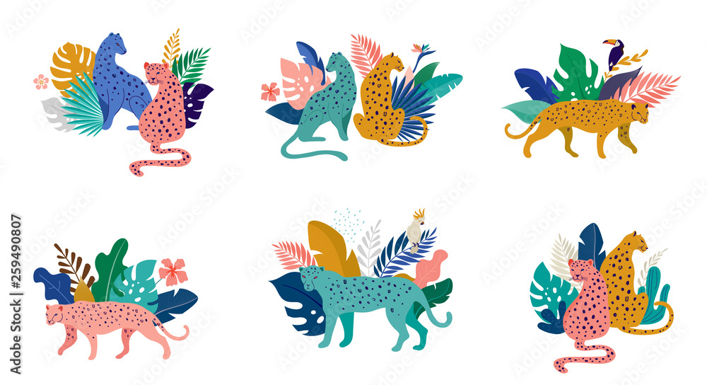 Obraz premium Tropical exotic animals and birds - leopards, tigers, parrots and toucans vector illustration. Wild animals in the jungle, rainforest