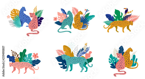Photography Tropical exotic animals and birds - leopards, tigers, parrots and toucans vector illustration
