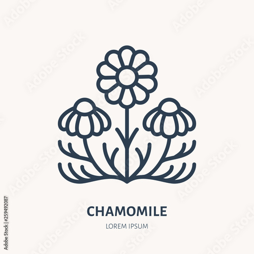 Chamomile flat line icon. Medicinal plant daisy chain vector illustration. Thin sign for herbal medicine, essential oil logo