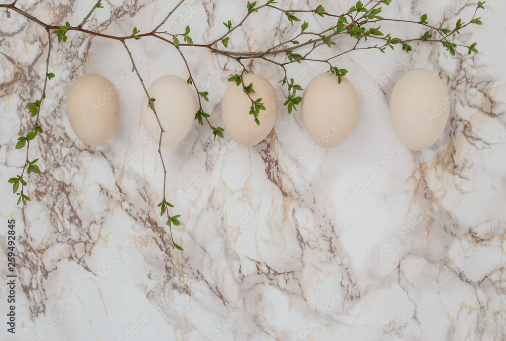 Easter eggs on marble background. A sprig of greenery.Place for inscription. top view Easter eggs on marble background. A sprig of greenery.Place for inscription. top view