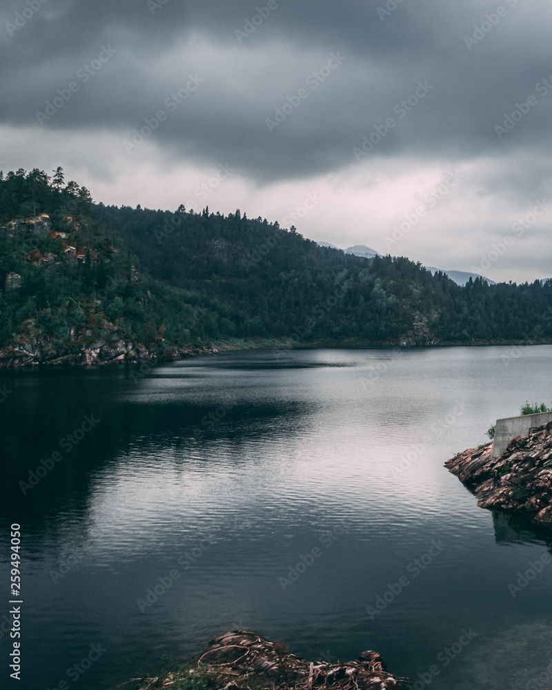 mountain lake in the forest