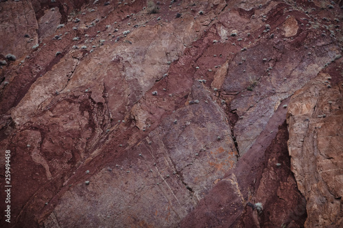 The texture is red and Burgundy. Rock wall with vegetation and crack
