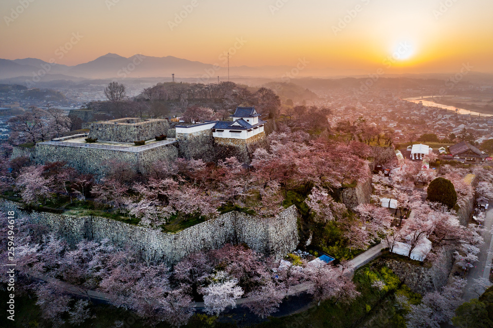 津山市鶴山公園の桜と夜明けの風景をドローンから望む、美しい朝の景色