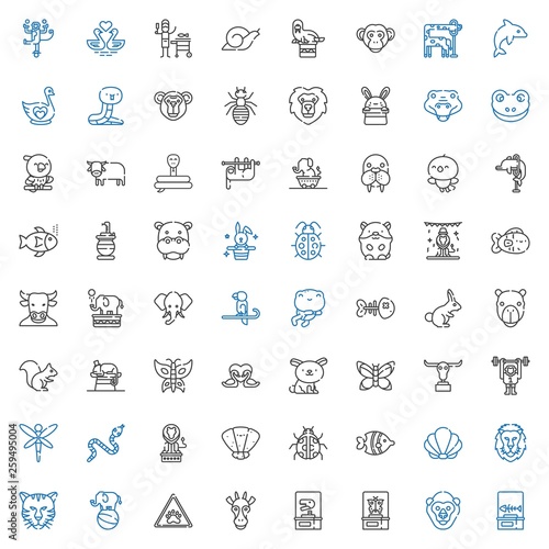 wildlife icons set