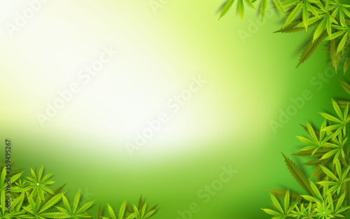 Cannabis leaf green drug marijuana herb Background. natural marijuana Frame Cannabis Green Leaf.