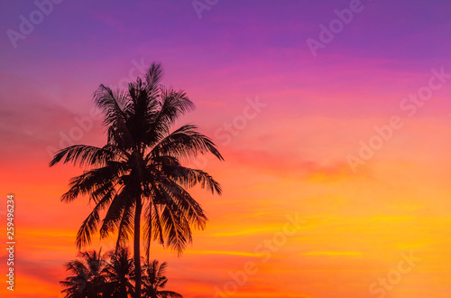 Silhouette coconut palm trees during sunset on tropical beach