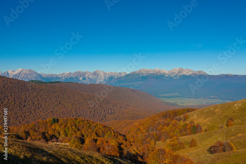 The plateau of Cansiglio in Italy