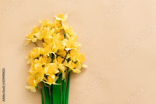 Beautiful daffodils flowers on background, top view