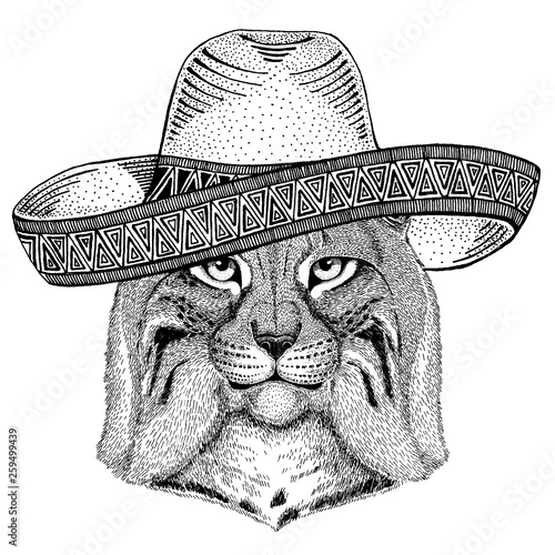 Wild cat, Lynx, Bobcat, Trot wearing traditional mexican hat. Classic headdress, fiesta, party.