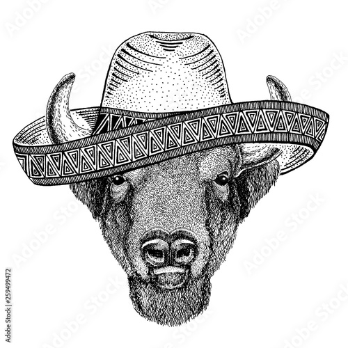 Buffalo, bison,ox, bull wearing traditional mexican hat. Classic headdress, fiesta, party.